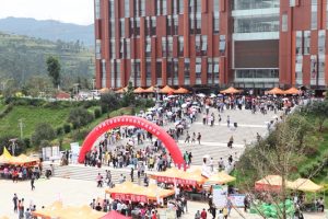 Con đường đi học cũng đầy cảm hứng để chụp ảnh check in