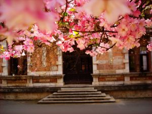 Đại học Vân Nam