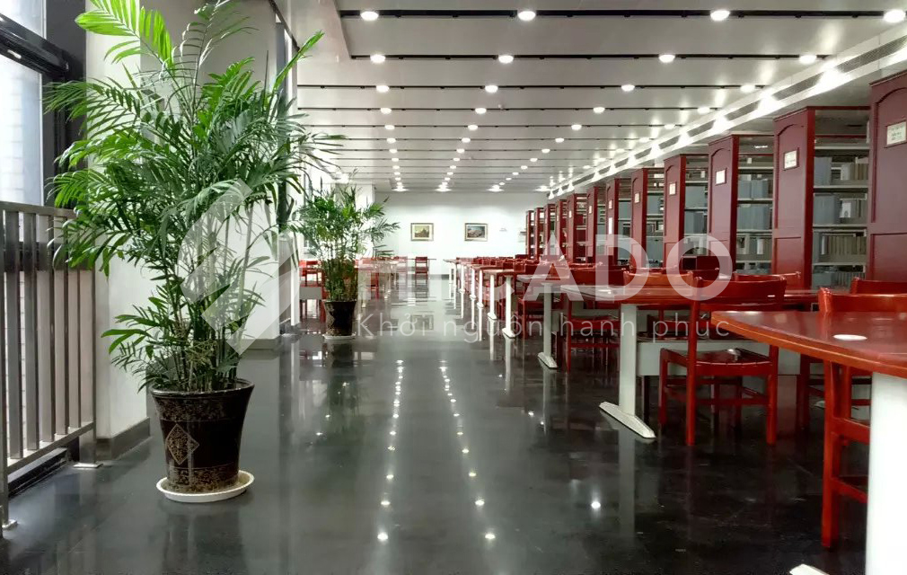 Đại học Sơn Tây