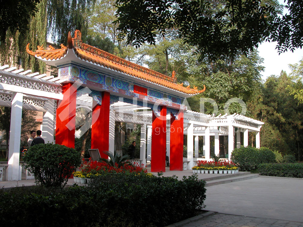 Đại học Sơn Tây