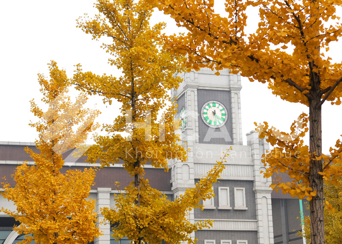 Đại học Sơn Tây