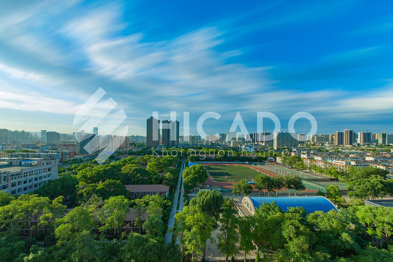 Đại học Sơn Tây