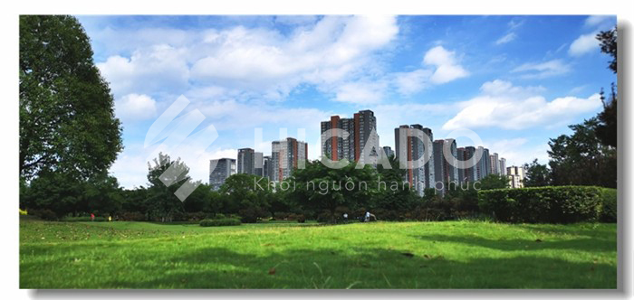 Đại học Trung Y Dược Thành Đô