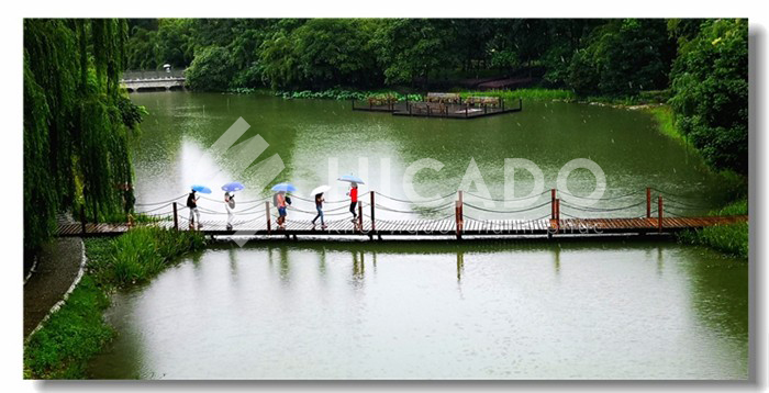 Đại học Trung Y Dược Thành Đô