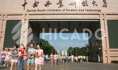 Trường Đại học Lâm nghiệp Trung Nam – Hồ Nam – Trung Quốc