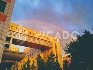 Đại học Tài chính Trung ương Bắc Kinh