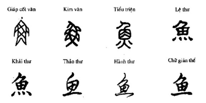 6 phép hình thành chữ Hán
