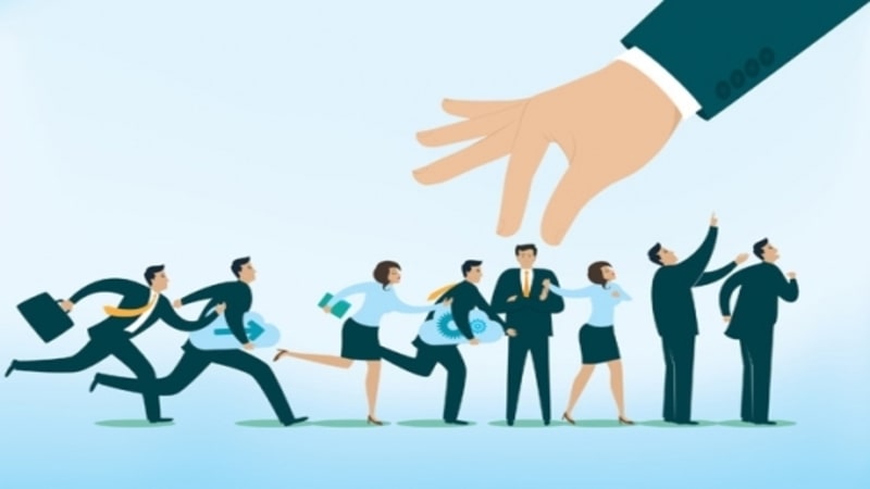 cơ hội việc làm