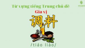 tu-vung-tieng-trung-ve-gia-vi