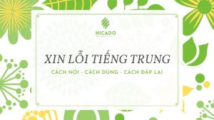 xin-loi-tieng-trung
